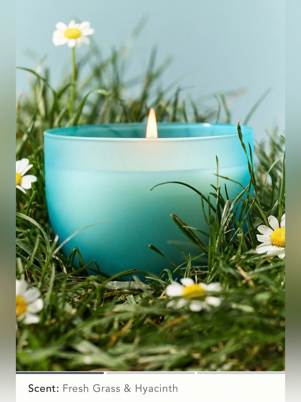 NWOT Anthropologie Romy Clover Floral Fresh Grass & Hyacinth Glass Lidded Candle